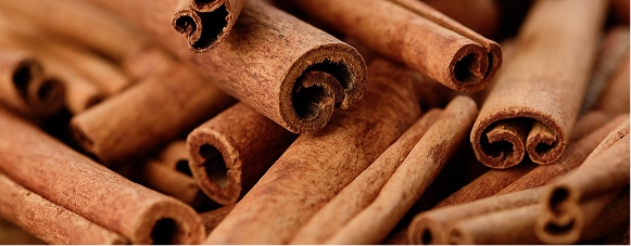 Bundles of cinnamon sticks stacked together