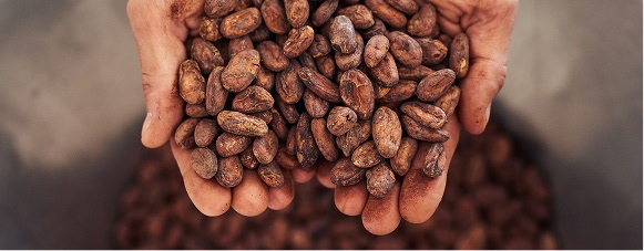Roasted cocoa nibs piled in a bowl and scattered across a wooden surface