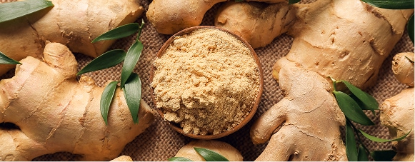 Fresh ginger root and ground ginger powder