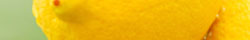 Lemon peel