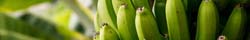 Green Banana