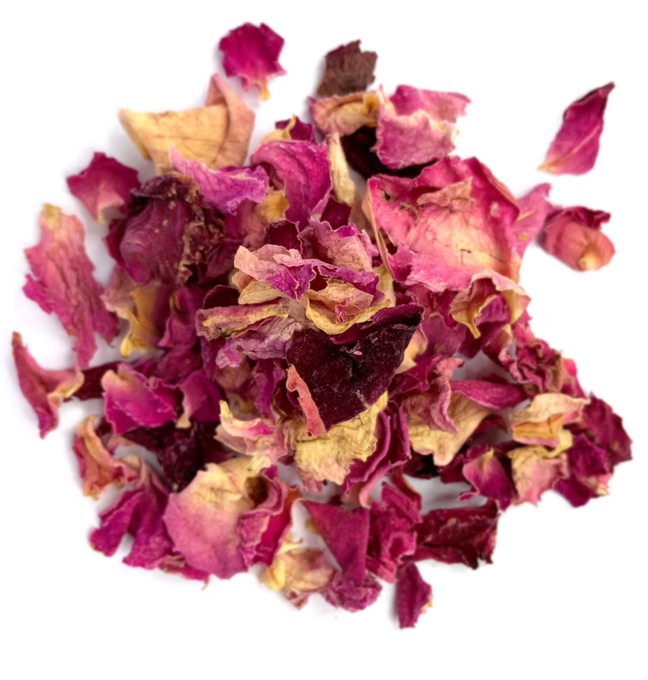 rose petals pink