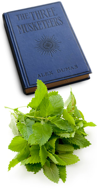 dandelion tincture