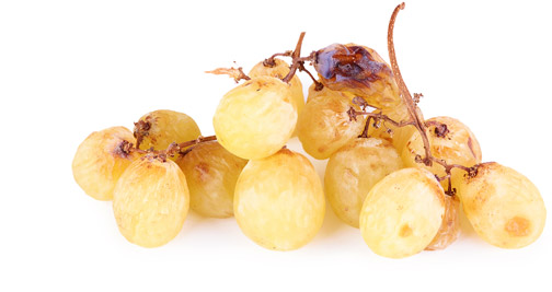 grapes