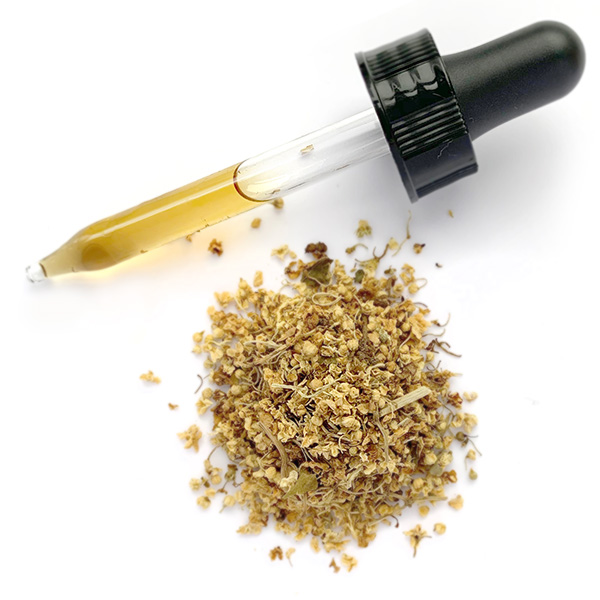 bulk elder flower