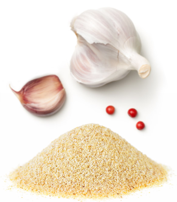 garlic