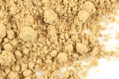Milk thistle seed, powder, organic image