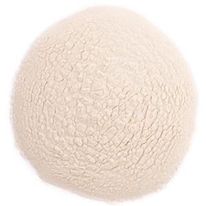 Lychee Juice, Powder 